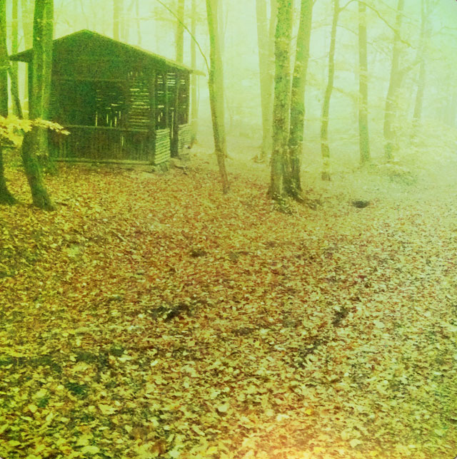 Hütte im Nebel
